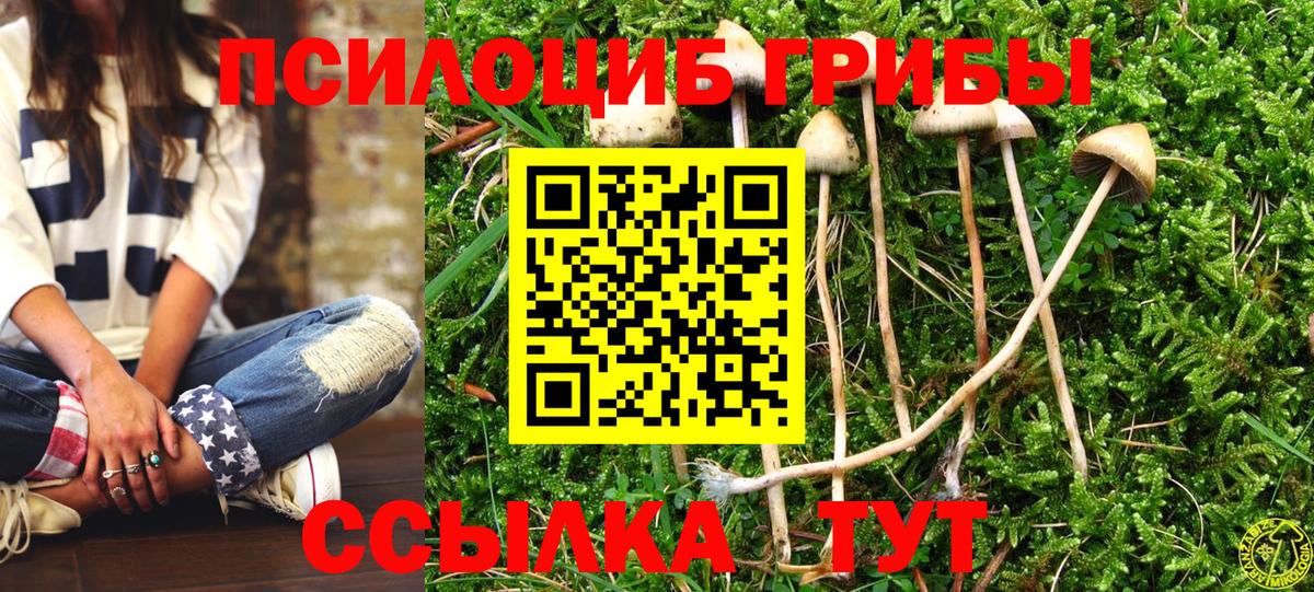 Магадан  Псилоцибиновые грибы Psilocybine cubensis  Вход с VPN 